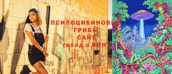 PSILOCYBIN Балахна