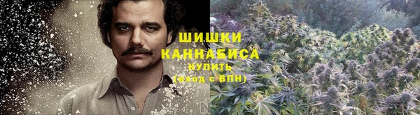 PSILOCYBIN Балахна